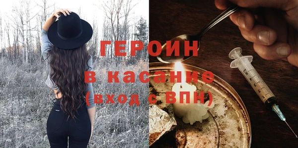 гашик Алексин