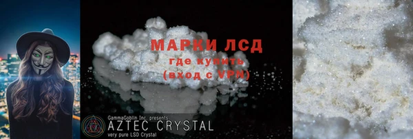 гашик Алексин