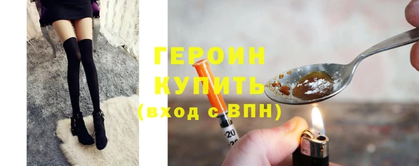 гашик Алексин