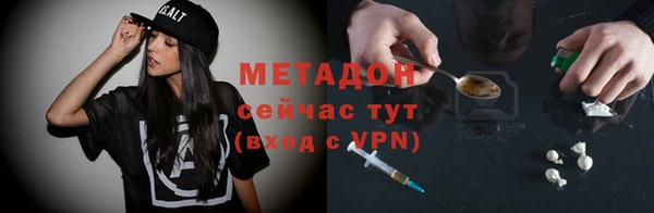 гашик Алексин