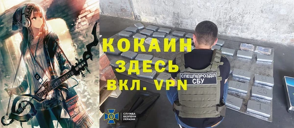 гашик Алексин