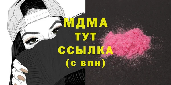 гашик Алексин