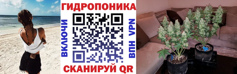 Конопля SATIVA & INDICA  купить наркотики сайты  Арамиль 